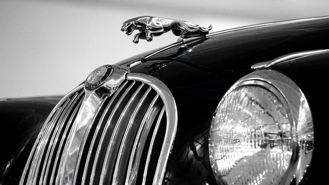 Jaguar Brand Name.jpg