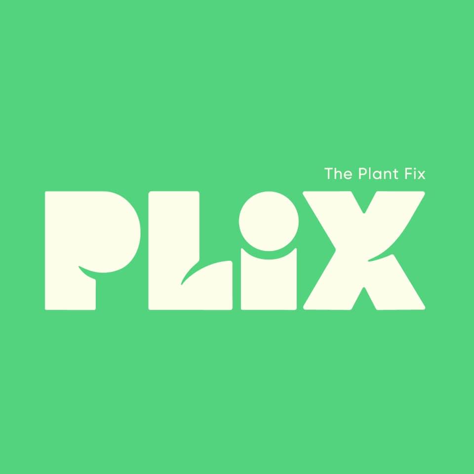 HOW YOUNG BRANDS GROW: The PLIX story | HOW YOUNG BRANDS GROW: The PLIX ...